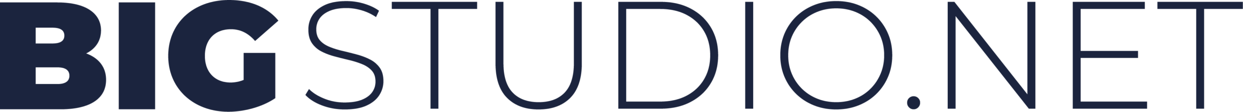 BIGSTUDIO.NET logo
